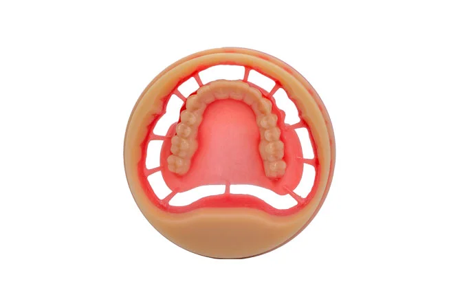 Full denture PMMA blocks case.webp Prótesis completa bloque PMMA(pic2)
